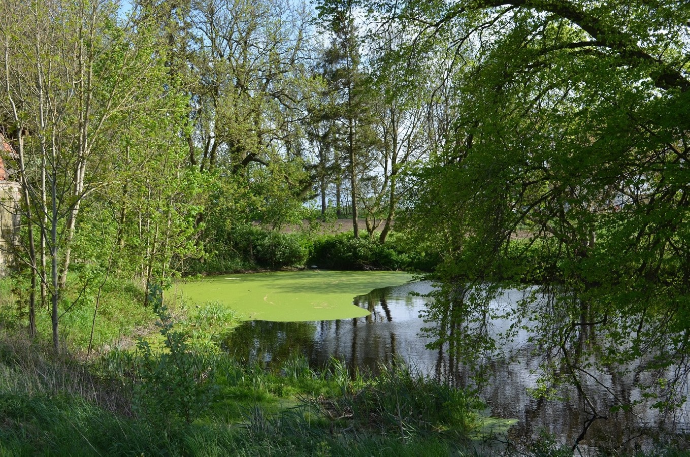 KNEESE-Foto-7