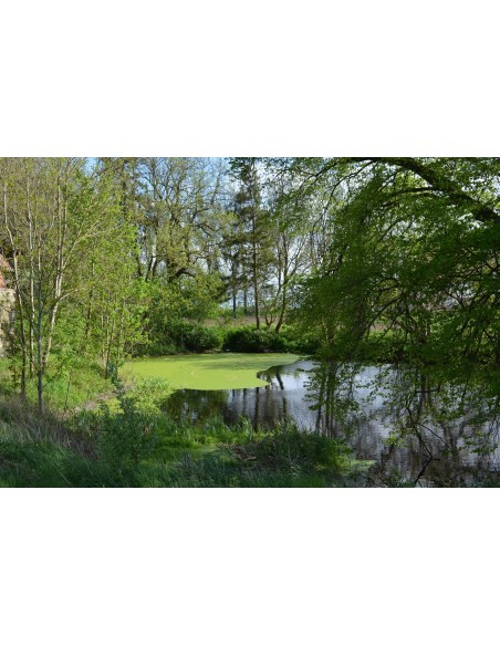 KNEESE-Foto-7