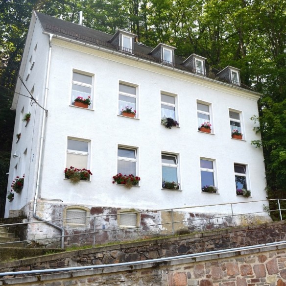 Mehrfamilienaus-am-Schlossberg-in-Glauchau-zu-verkaufen