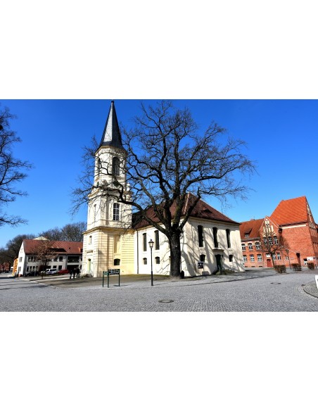 Baugrundstueck-in-Zossen-zu-verkaufen-16