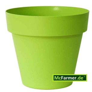 XXL-Blumentopf