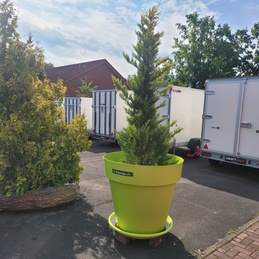 der-groesste-Blumentopf-fuer-innen-und-aussen-Frostsicher-fuer-Pflanzen-Straeucher-und-Baeume-1