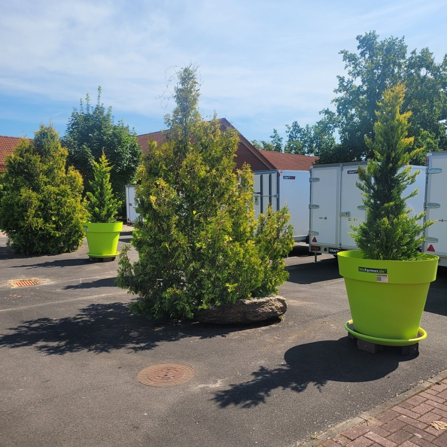 McFARMER-Mega-XXL-Pflanzkuebel