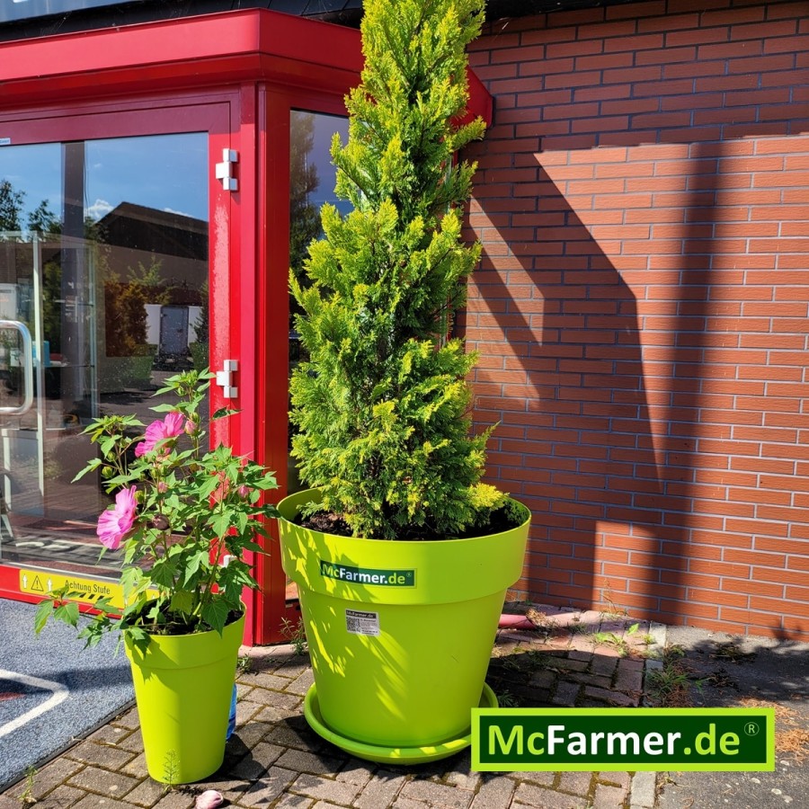 McFarmer-Mega-XL-Blumentopf-2