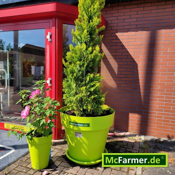 McFarmer-Mega-XL-Blumentopf-2