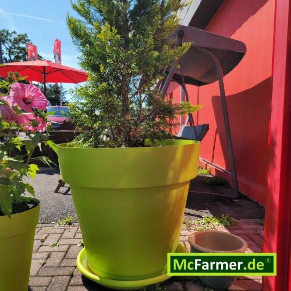 McFarmer-Mega-XL-Blumentopf-3