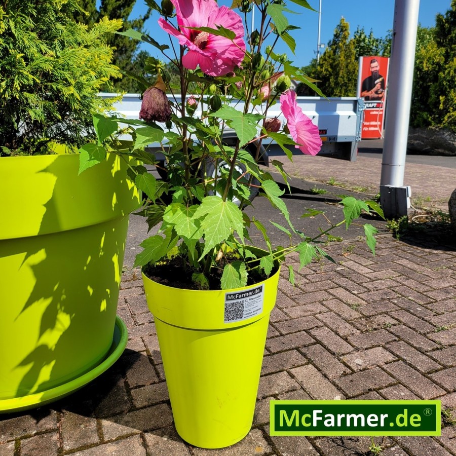McFarmer-XL-Planzkuebel-apfelgruen-1