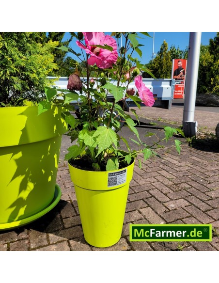 McFarmer-XL-Planzkuebel-apfelgruen-1