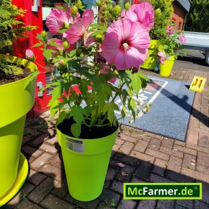 McFarmer-XL-Planzkuebel-apfelgruen-1 2