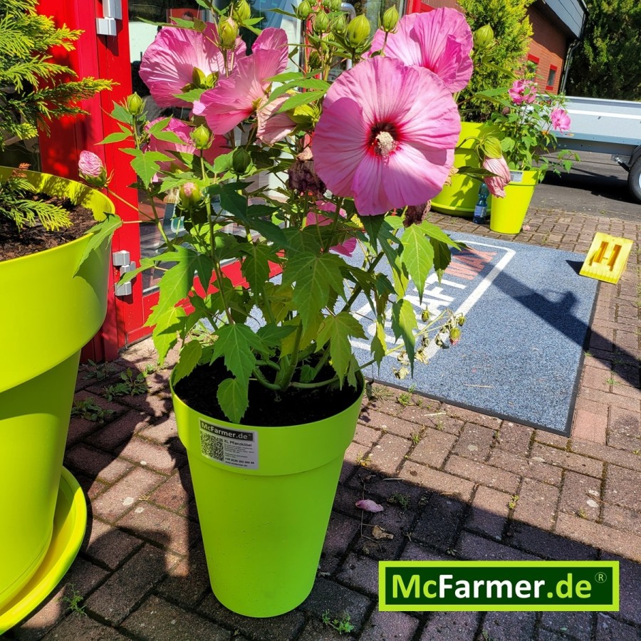 McFarmer-XL-Planzkuebel-apfelgruen-3