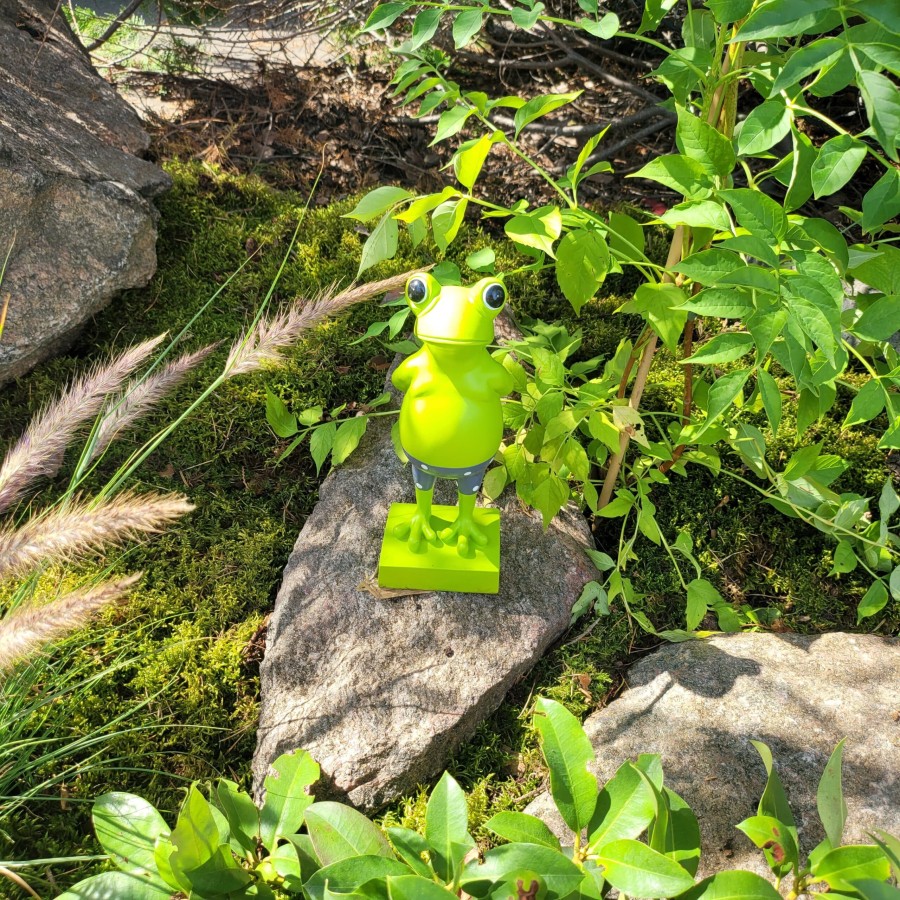 McFARMER-Frosch-mit-Badehose-Dekofigur-massiv-wetterfest-und-farbbestaendig-3-scaled