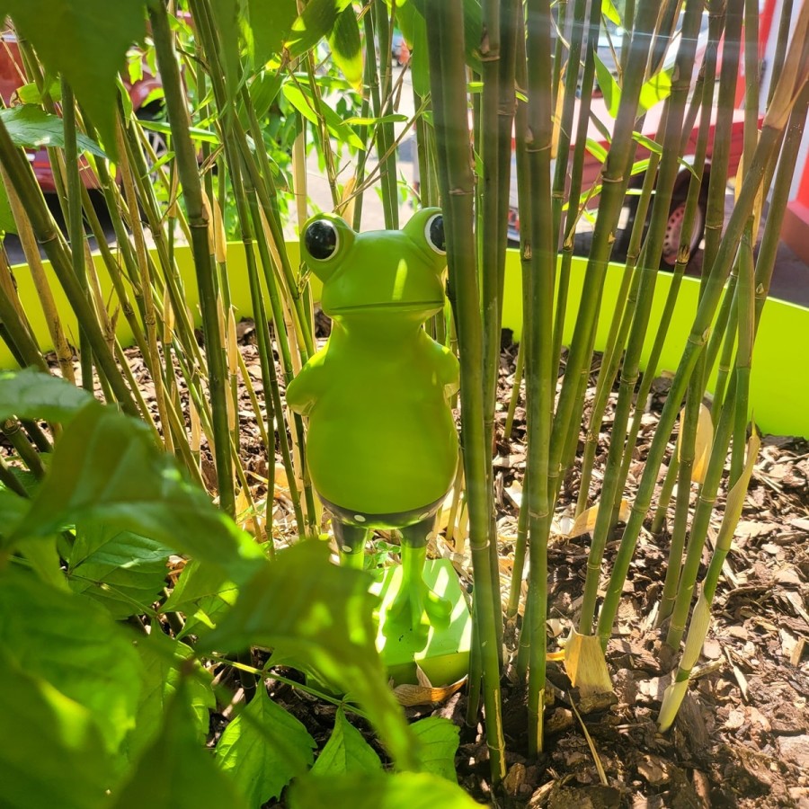 Frosch-mit-Badehose-Gartendeko-2