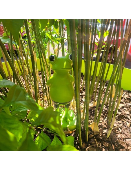 Frosch-mit-Badehose-Gartendeko-2