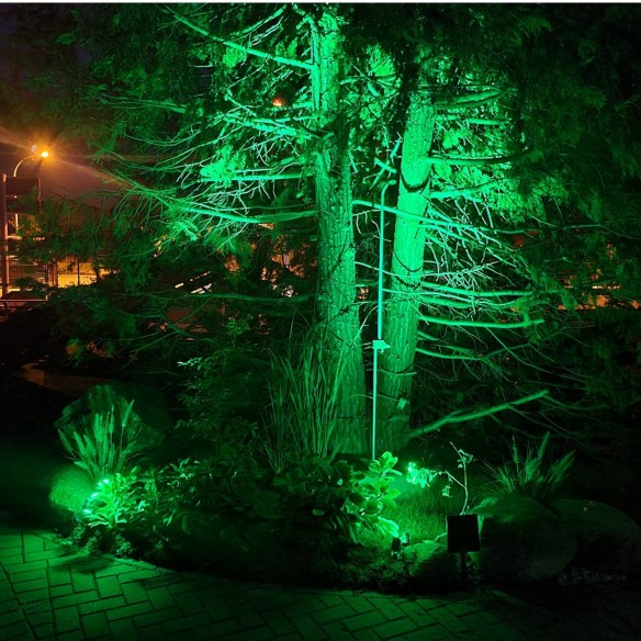 gruene-LED-Strahler-fuer-Garten-1