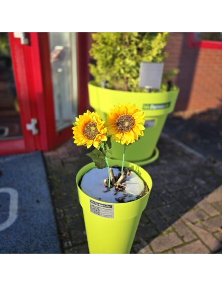 Kuenstliche-Sonnenblumen-mit-langen-Stielen-taeuschend-echt