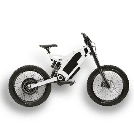 Fatbike