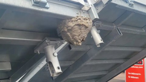 Die lustigsten PKW-Anhänger der Welt_blog